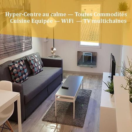 Appartement "Gabrielle" Au Calme En Hypercentre De Revel Ревель Экстерьер фото